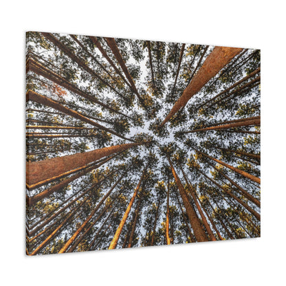 Canvas Gallery Wrap - The Spot at Oak Openings
